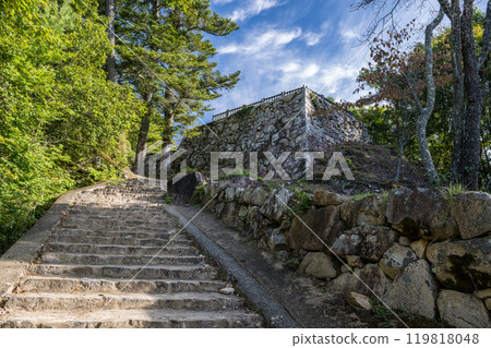 岡山縣比基尼松山城 岡山縣比基尼松山城 119818048