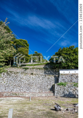 岡山縣比基尼松山城 119818069