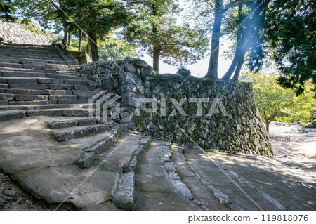 Okayama Prefecture Bikini Matsuyama Castle 119818076