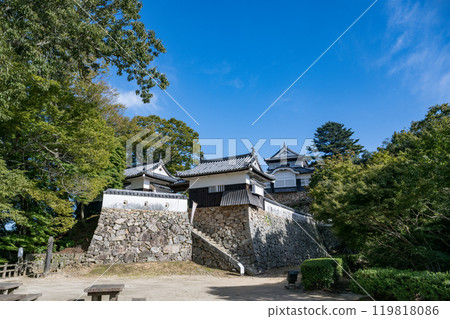 Okayama Prefecture Bikini Matsuyama Castle 119818086