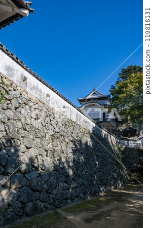 岡山縣比基尼松山城 岡山縣比基尼松山城 119818131