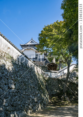 岡山縣比基尼松山城 119818133