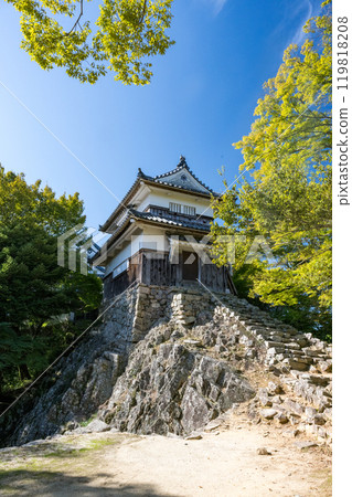 岡山縣比基尼松山城 岡山縣比基尼松山城 119818208