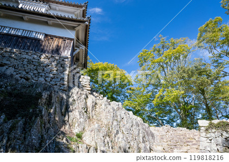 Okayama Prefecture Bikini Matsuyama Castle 119818216