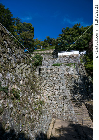 岡山縣比基尼松山城 119818221