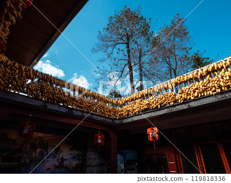 Corn and sky on the roof of a villager's house in Simola Wa village, Tengchong, Yunnan 119818336