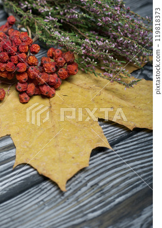 Yellow autumn maple leaves, a bunch of dry heather and dry rowan berries. On pine boards painted black and white. 119818373