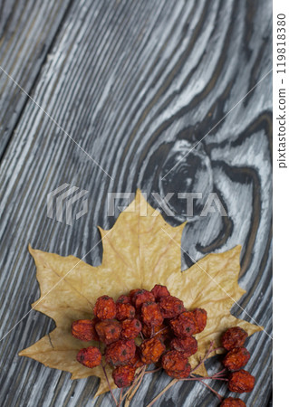 Autumn yellow maple leaves and dry rowan berries. On pine boards painted black and white. 119818380