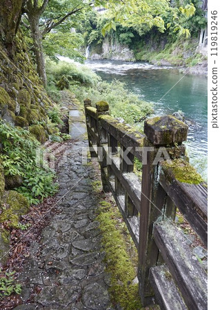 郡上八幡吉田川清澈的溪流，從河邊的散步道可以看到美麗的新綠 119819246