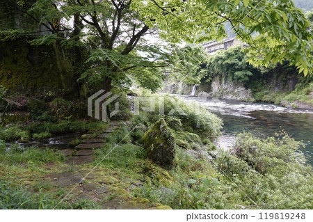 從河邊的散步道可以看到新綠美麗的郡上八幡吉田川 119819248