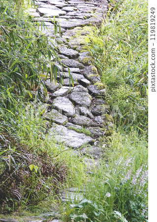 被雨水打濕的鵝卵石小路（長廊），植被茂盛 119819249