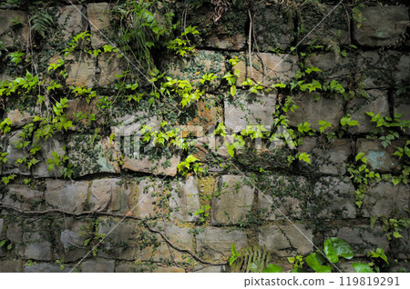 遠古時期的石牆 遠古時期的石牆 119819291