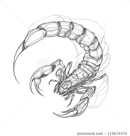 A beautifully crafted scorpion tattoo sketch ideal for coloring, scrapbooking, or as an artistic design element. 119819354