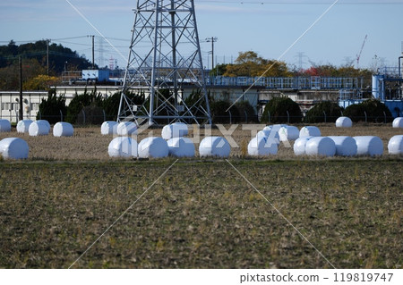 Walking around Sakura Walking around Sakura 119819747