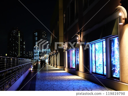 Aqua City 台場櫥窗 119819798