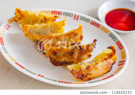 Pan-fried gyoza 119820233