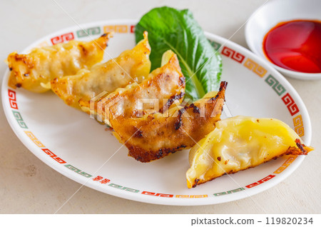 Pan-fried gyoza Pan-fried gyoza 119820234