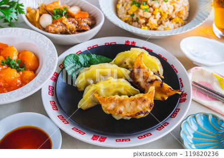 Chinese food grilled dumplings 119820236