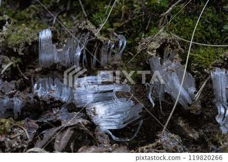 Dill valley, High Tatras mountain, Slovakia 119820266