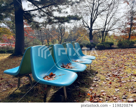 秋葉和藍色長凳 119820874