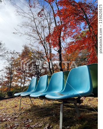 秋葉和藍色長凳 119820875