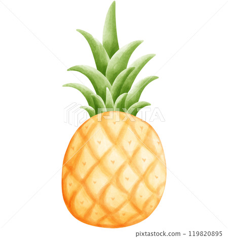 Aloha Hawaii Aloha Hawaii 119820895