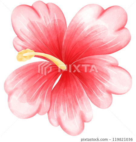 Aloha Hawaii 119821036