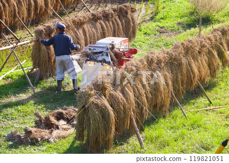 Scene of farmers threshing rice on rice racks in autumn in Satoyama Scene of farmers threshing rice on rice racks in autumn in Satoyama 119821051