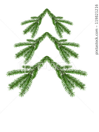 Green spruce, on isolated background. Coniferous tree without background 119821216