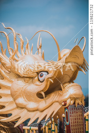 Statue of dragon 119821732