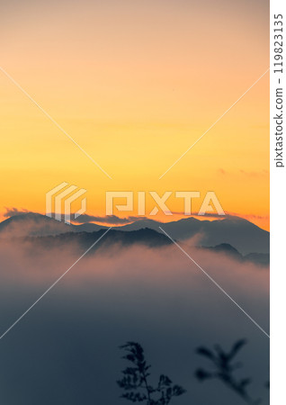 Orange [Hirotsuka, Ikeda-cho, Kitaazumi-gun] 119823135