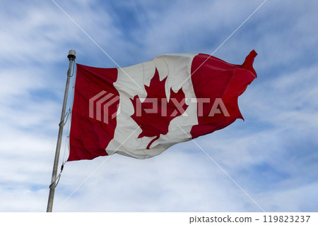 Canada flag fluttering on windy day 119823237