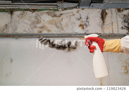 Human found mold on wall , in your residential building after renovation 119823426