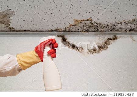 Human found mold on wall , in your residential building after renovation 119823427