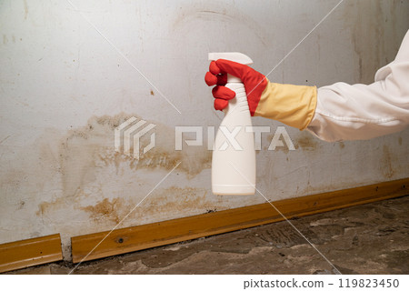 Human found mold on wall , in your residential building after renovation 119823450