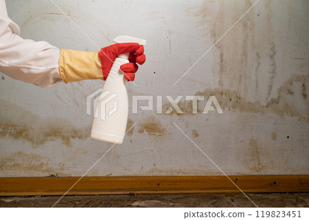 Flooding rainwater or floor heating systems, causing damage, peeling paint and mildew 119823451