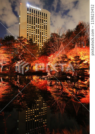Autumn leaves reflected on the water 119823452