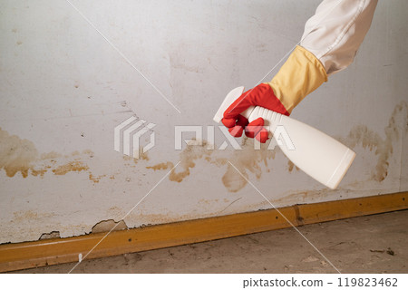 Human found mold on wall , in your residential building after renovation 119823462