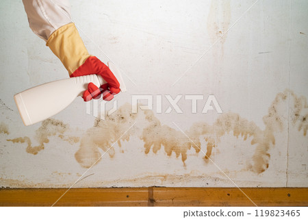 Flooding rainwater or floor heating systems, causing damage, peeling paint and mildew Flooding rainwater or floor heating systems, causing damage, peeling paint and mildew 119823465