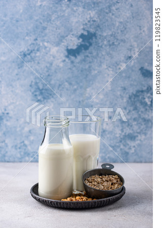 Plant based vegan non dairy alternative milk 119823545