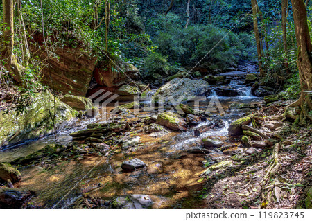 Small stream with clear waters Small stream with clear waters 119823745
