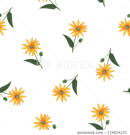 Topinambur Flower Seamless Pattern. Floral Digital Paper. Topinambur Flower Seamless Pattern. Floral Digital Paper. 119824225