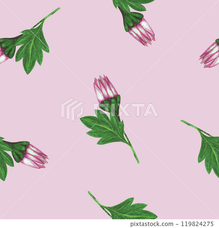 Chrysanthemum Flower Seamless Pattern. Floral Digital Paper. 119824275