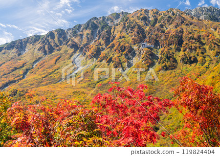<Toyama Prefecture> Autumn leaves of Kurobedaira and Tateyama Kurobe Alpine Route 119824404
