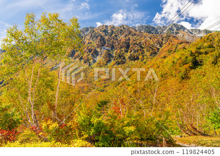 <富山縣>黑部平和立山黑部阿爾卑斯山脈的紅葉 <富山縣>黑部平和立山黑部阿爾卑斯山脈的紅葉 119824405