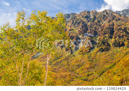<富山縣>黑部平和立山黑部阿爾卑斯山脈的紅葉 <富山縣>黑部平和立山黑部阿爾卑斯山脈的紅葉 119824428