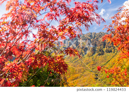 <富山縣>黑部平和立山黑部阿爾卑斯山脈的紅葉 119824433