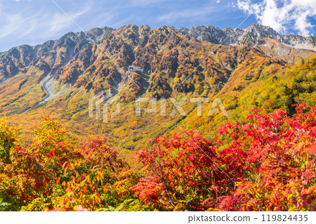 <富山縣>黑部平和立山黑部阿爾卑斯山脈的紅葉 119824435