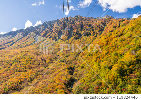 <Toyama Prefecture> Autumn leaves of Kurobedaira and Tateyama Kurobe Alpine Route 119824440