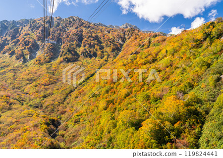 <Toyama Prefecture> Autumn leaves of Kurobedaira and Tateyama Kurobe Alpine Route 119824441